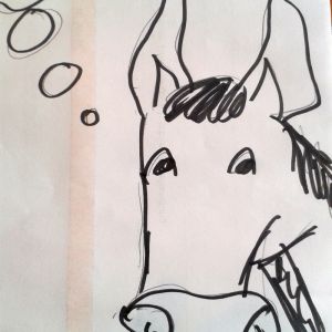 Akquise-Esel, Agenturfossilien und Augenhöhe